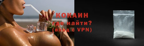 хмурый Новозыбков