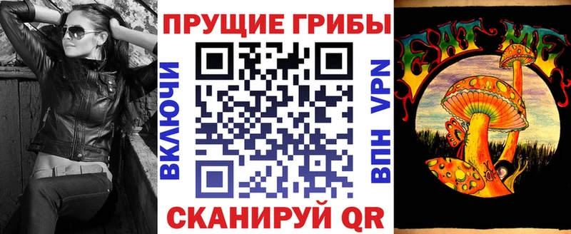 Галлюциногенные грибы мухоморы  кракен маркетплейс  Купино 